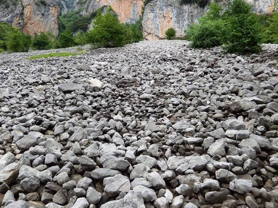 Πάπιγκο